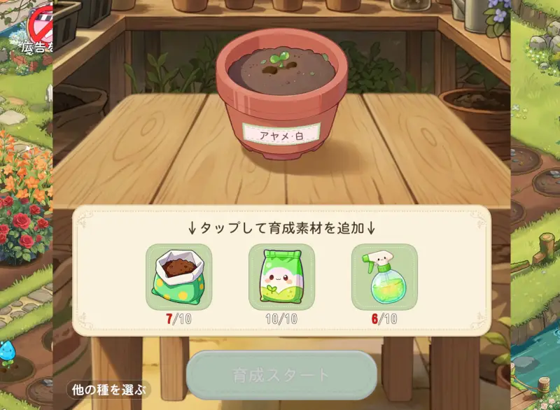 サンシャイン牧場2の育成画面