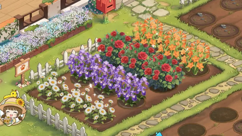 サンシャイン牧場2の花壇2