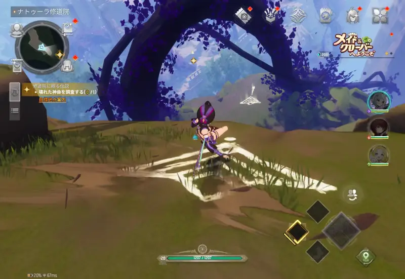 モンギルのフィールド