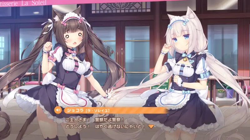 ネココネのストーリー