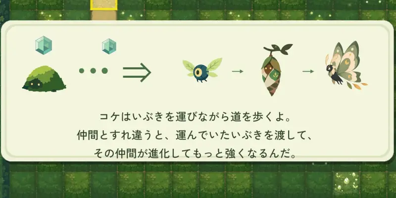 モリフィスのコケ
