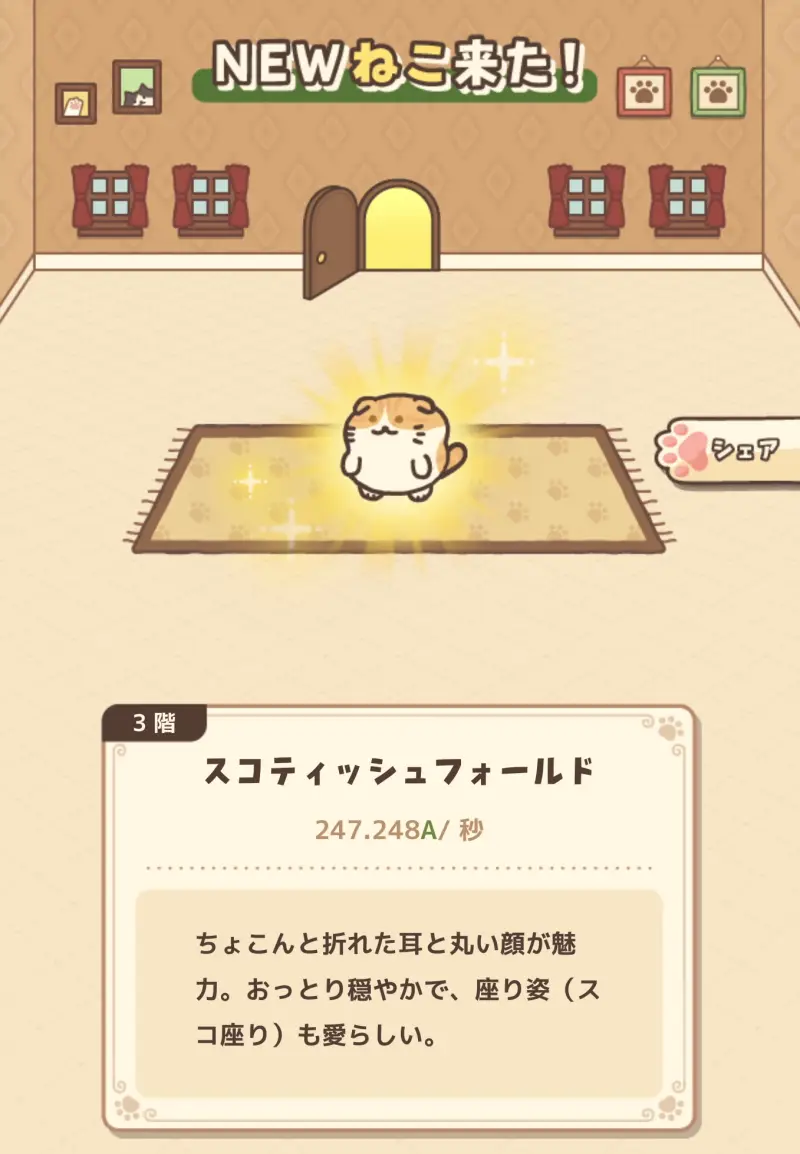 ねこマンションのスコティッシュ